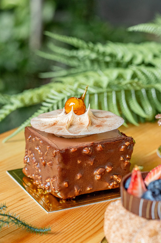 Hazelnut Brownie | Mini Cakes